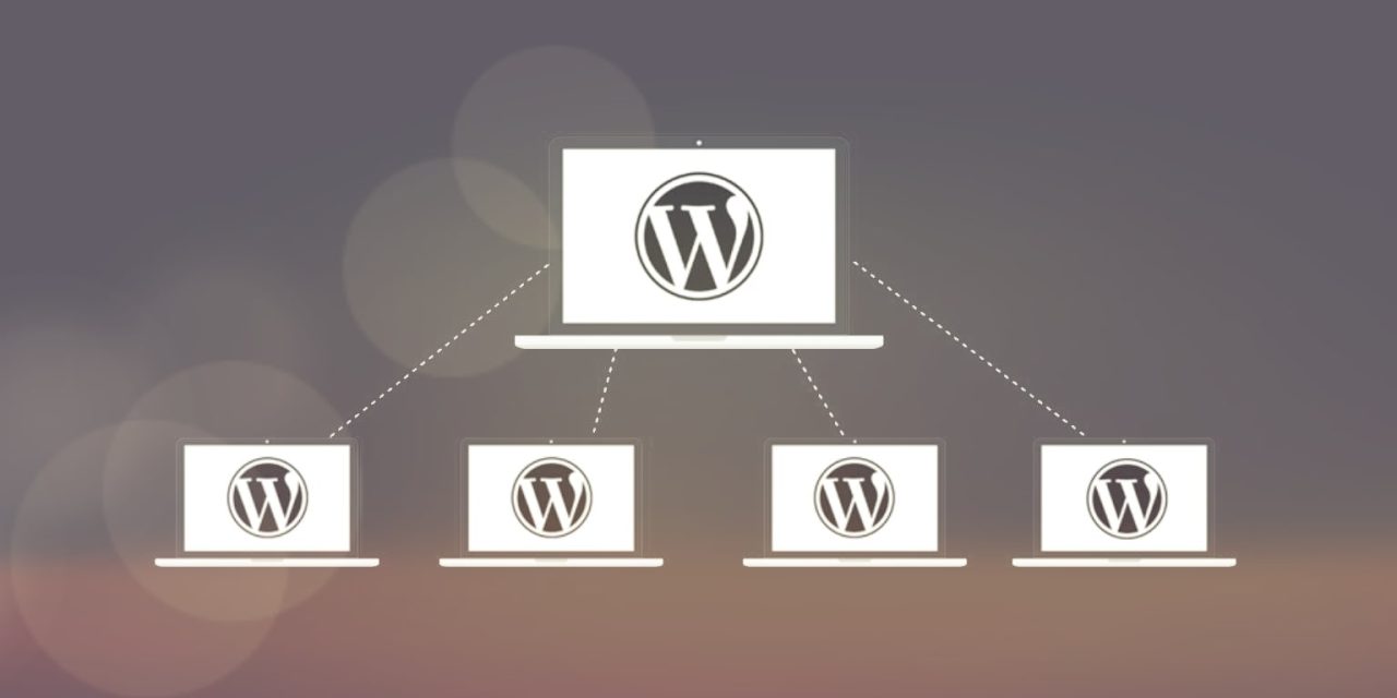 Does WordPress Multisite (Network) Hurt Your SEO?