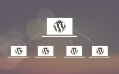 Does WordPress Multisite (Network) Hurt Your SEO?
